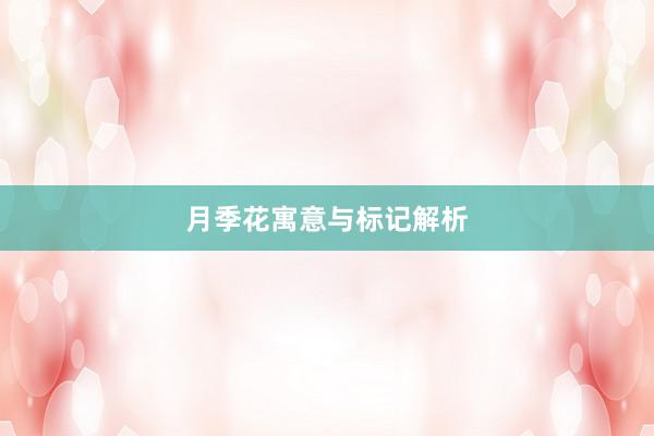 月季花寓意与标记解析