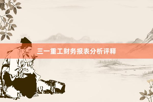 三一重工财务报表分析评释
